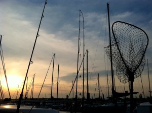IMG_5202