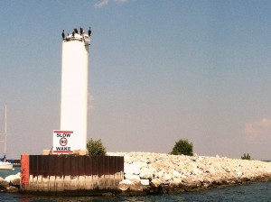 IMG_5426