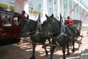IMG_5812-1