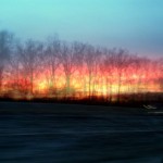 Blog Ideas1