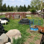 June 2011 27352