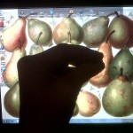 computer pear