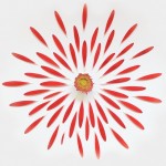 art,conceptual,creative,graphic,nature,poetic-c015c6059e0b9eb2c5141adaf01ac68c_h