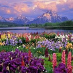 art,inspirational,nature,color,colour,colors-39ca2af4c94e92ef54df819bddec0fc8_h