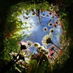 nature,color-a0f933a24c1af83736cf2eb948bf5eb3_h