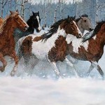 winter-run-horses-canvas-art-print-by-chris-cummings-1195864481