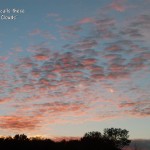 DSCF5389