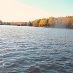 DSCF5541