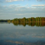 June 2011 7149