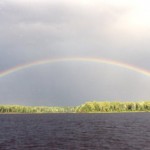 June 2011 7230