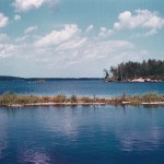 June 2011 7298