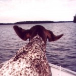 best pic of Anna in boat with ears flying