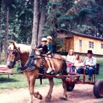 stewart gives ride with horse and buggy