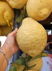 DSCF2863