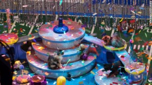 130129150220-puppy-bowl-9-4-horizontal-gallery