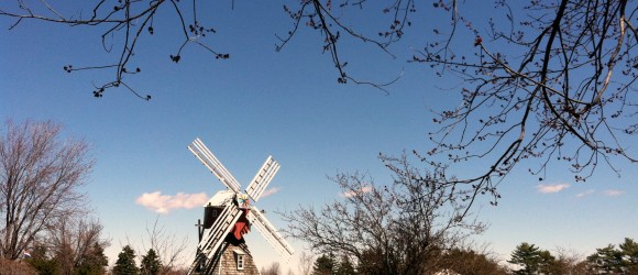 IMG_7670 IMG_7670
