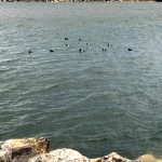 IMG_7802