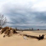 IMG_7845