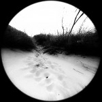 IMG_7884