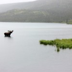 IMG_0728