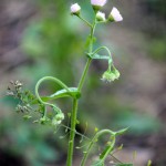 IMG_8430
