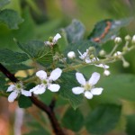 IMG_8456